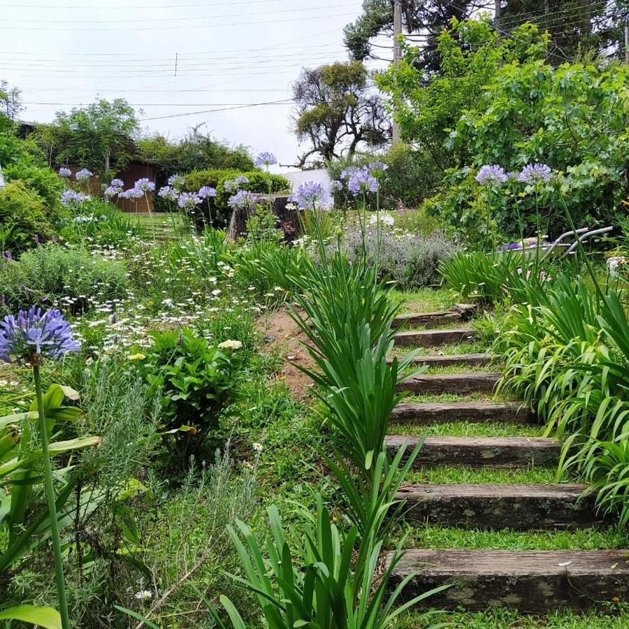 查莱斯奥拓卡皮瓦里山林小屋 Campos do Jordão 外观 照片