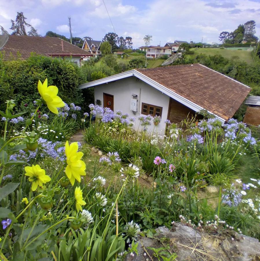 查莱斯奥拓卡皮瓦里山林小屋 Campos do Jordão 外观 照片